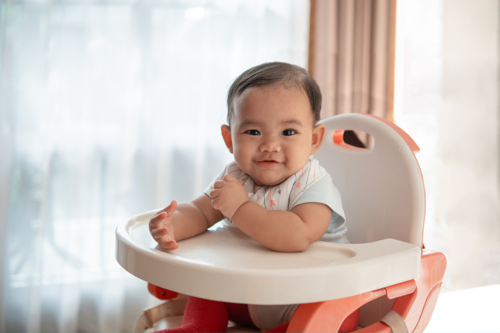 Como Escolher a Melhor Cadeirinha de Alimentação para o Bebê: Guia Completo